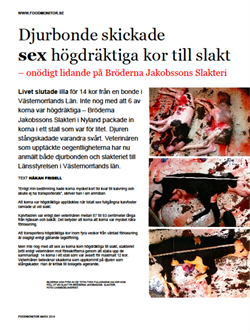 djurbonde-skickade-sex-hogdraktiga-kor-till-slakt