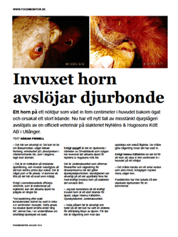 invuxet-horn-avslojar-djurbonde