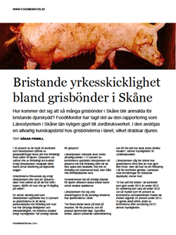 bristande-yrkesskicklighet-bland-grisbonder-i-skåne