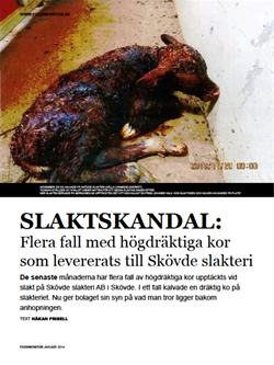 slaktskandal