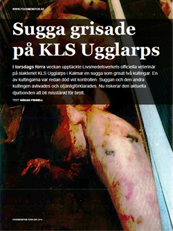 sugga-grisade-pa-kls-ugglarps