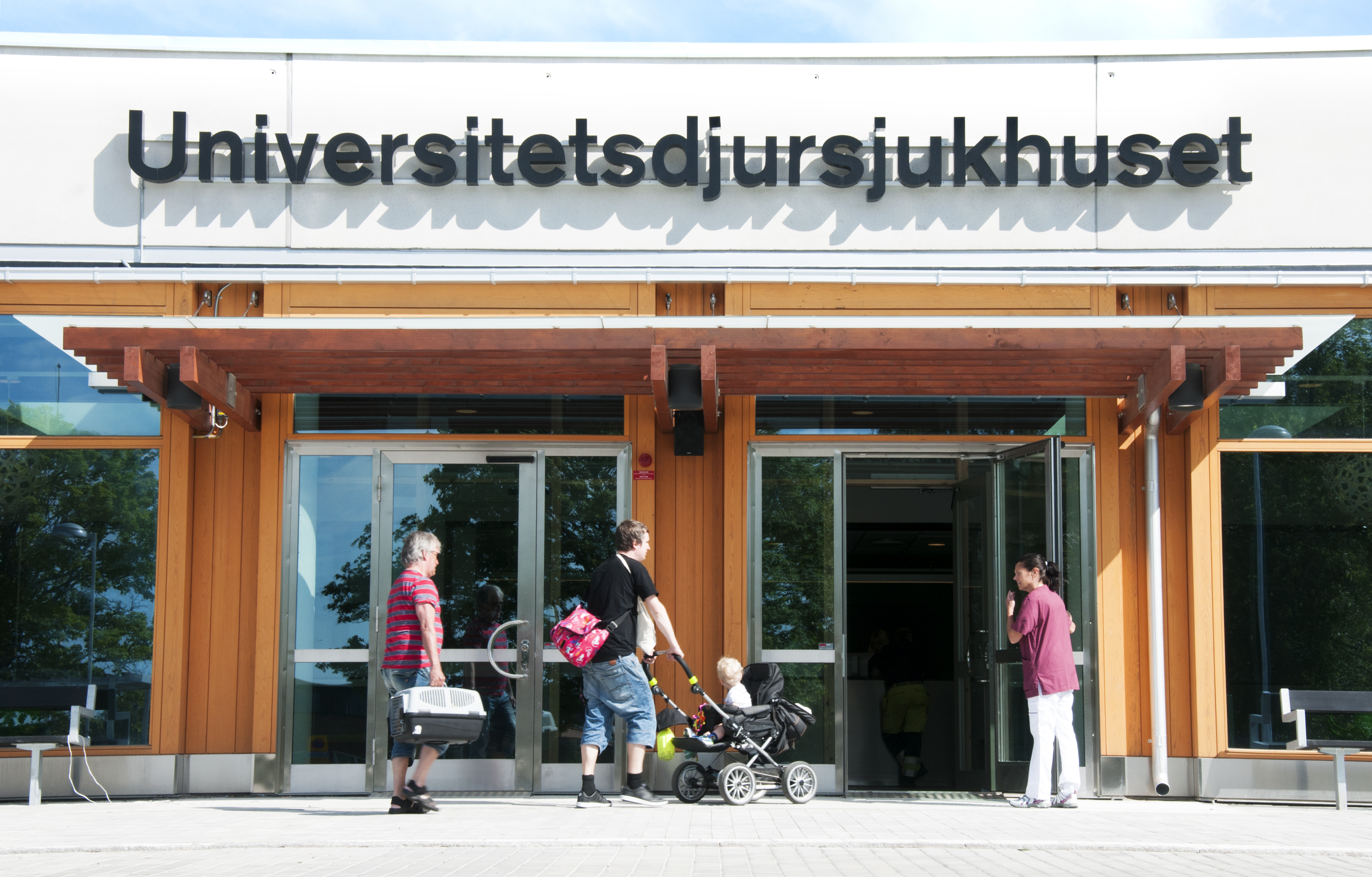 SLU93