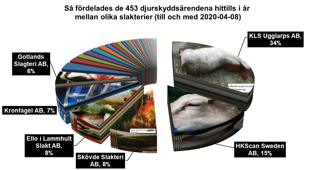 Slakt37